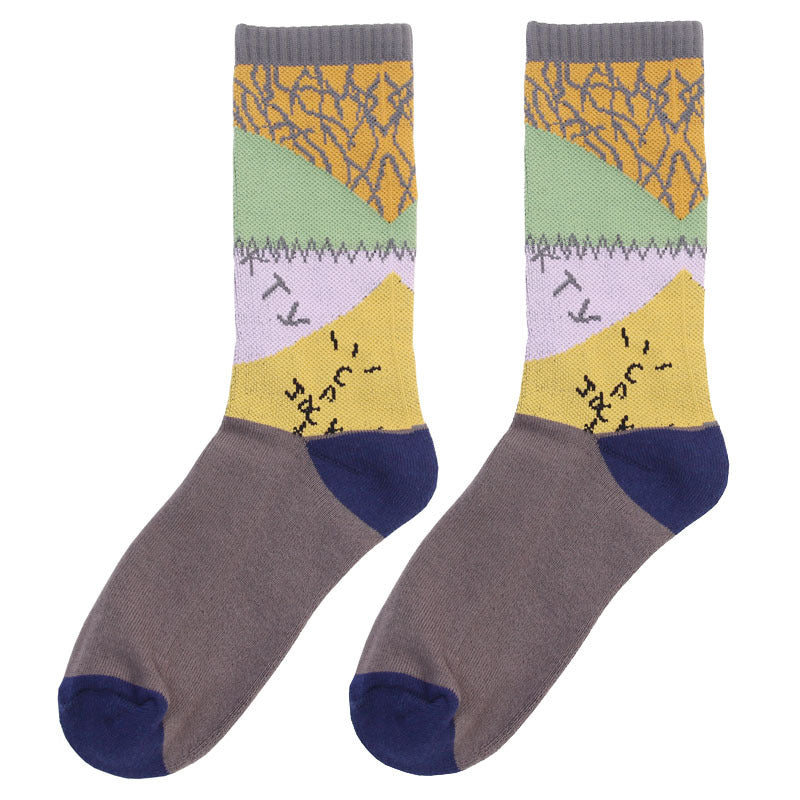 Men's Hip Hop Print Socks